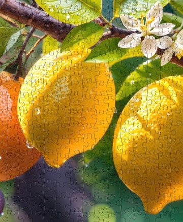 CherryPazzi - Sunny Fruits - 1000 Stukjes 7