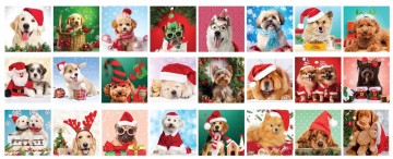 Eurographics - Advent Calendar - Christmas Paws - 24 x 50 Stukjes 4