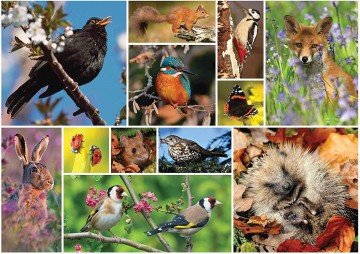 Otter House - Great British Wildlife - 1000 Stukjes