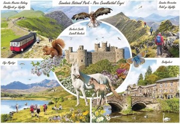 Otter House - Snowdonia National Park - 1000 Stukjes