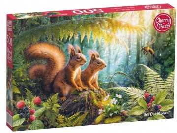 CherryPazzi - This One Moment - 500 Stukjes 2