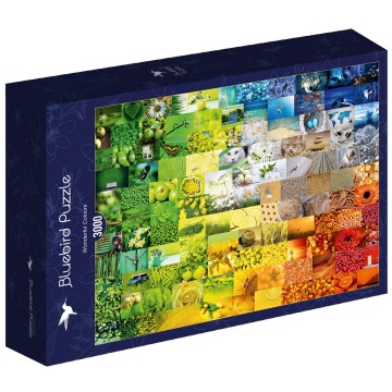 Bluebird Puzzle - Wonderful Colours - 3000 Stukjes 2