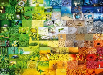 Bluebird Puzzle - Wonderful Colours - 3000 Stukjes